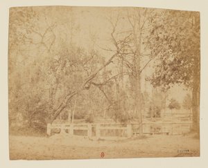 Vue 3 - Jardin non identifié, Iran